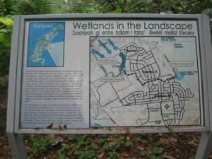 Wetlands2